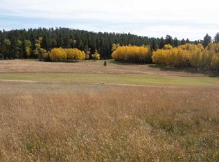 21683 Aspen Lookout Loop, Lead, SD 57754