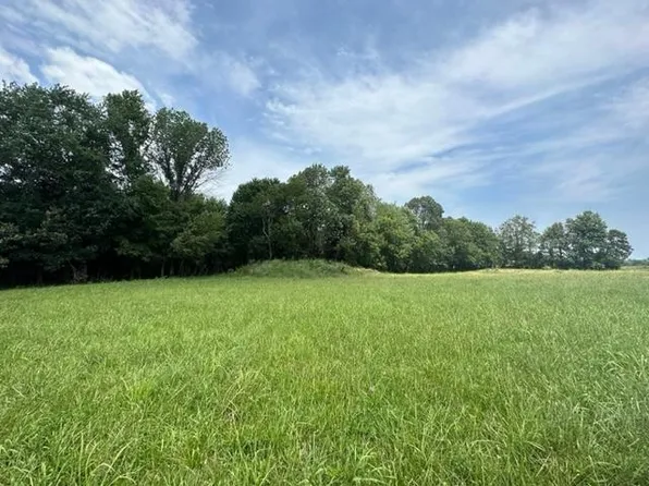 0 Flint Knob Rd #90-0HAPPY, Cave City, KY 42127