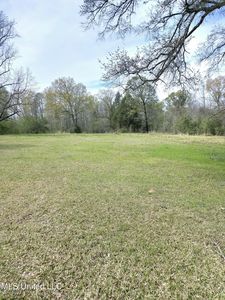 0 Dunn Pease Rd, Raymond, MS, 39154