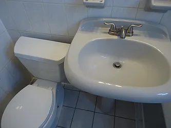 Rented by The Coop Connection LLC