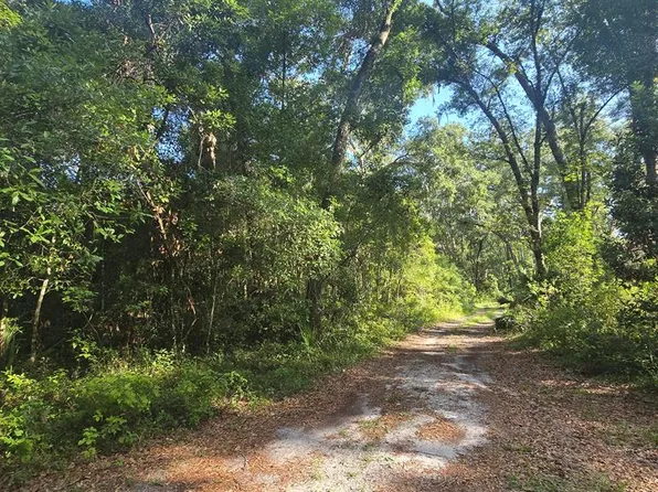 TBD NE 204th Ave, Old Town, FL 32686