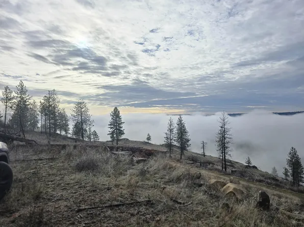 Xx Pine Ridge Way, Nine Mile Falls, WA 99026