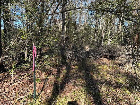 5th image of County Road 301 Tract Rd #7