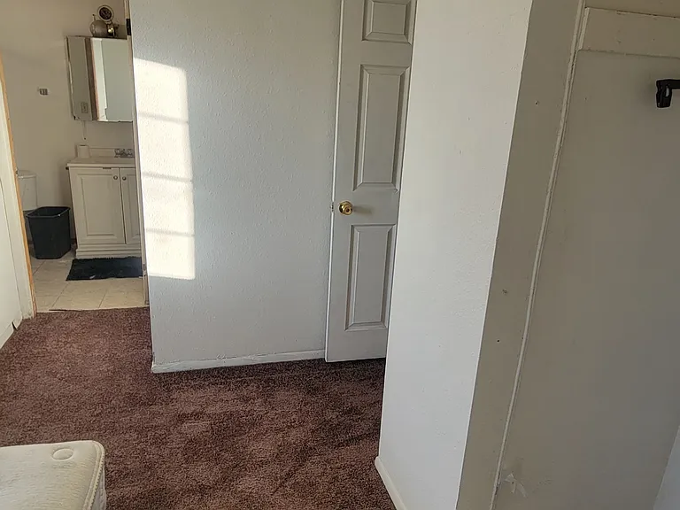 2412 Olive St #10 — Photo 3