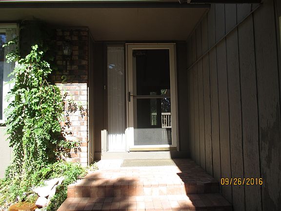 Front Door, new steps