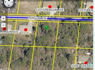 12056 Penguin Ave, Weeki Wachee, FL 34614