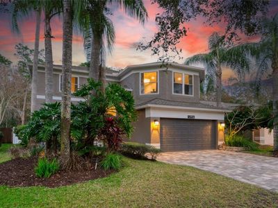 12956 Royal George Ave, Odessa, FL, 33556