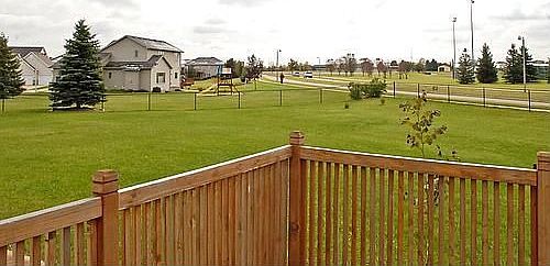 Back yard