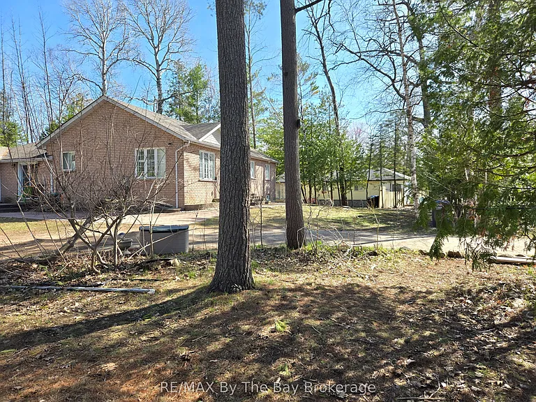31 Forest Ave #A — Photo 3