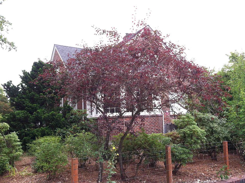 2nd image of 5504 21st Ave NE