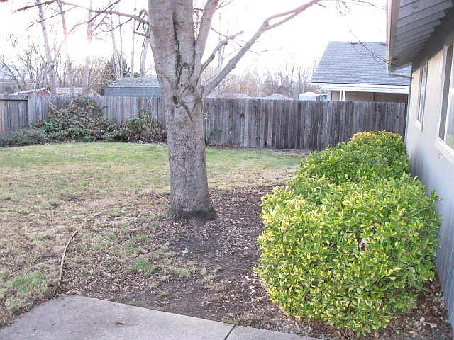 2640 Montara Dr — Photo 6