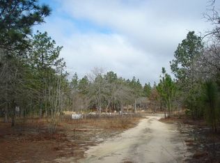 3402 Princeton Rd, Gaston, SC 29053