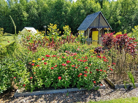 Annuals for 'cut garden'