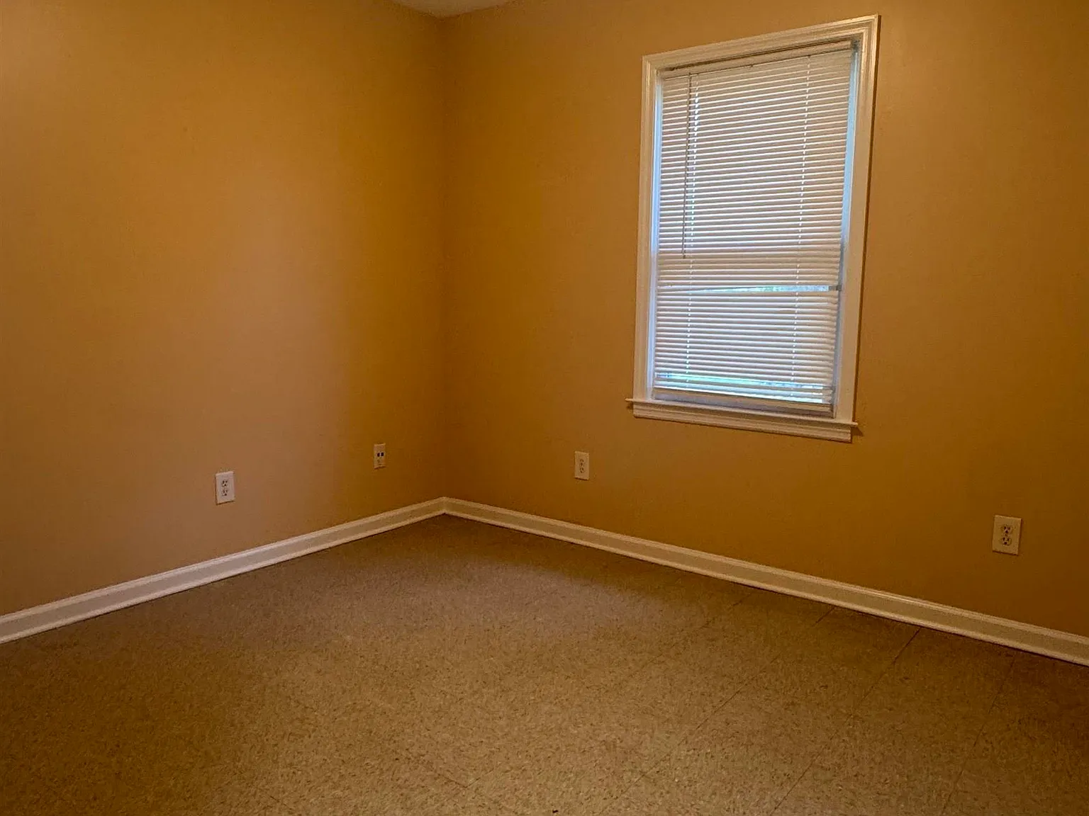 3 bed, 1.5 bath, 955 sqft, $1,195 — Photo 3
