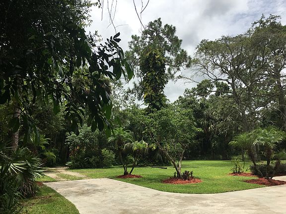 Driveway and front yard