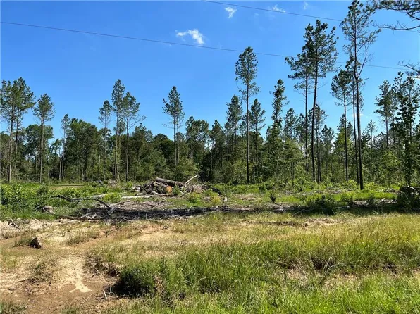 0 Walker Ferry Rd Lot 10, Pollock, LA 71467