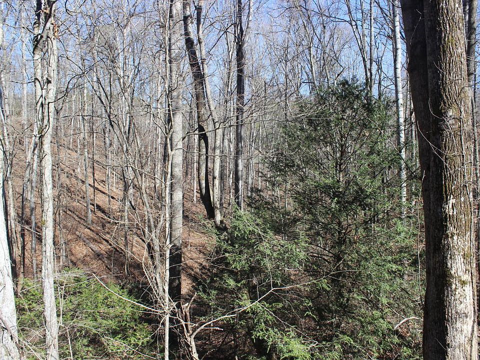 1st image of 370 Cherrybrook Ln