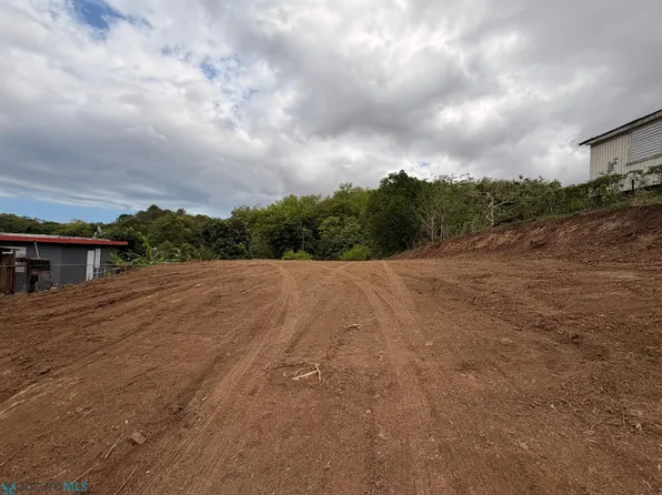 Km 3.0 Bo La Haya, Lajas, PR 00667
