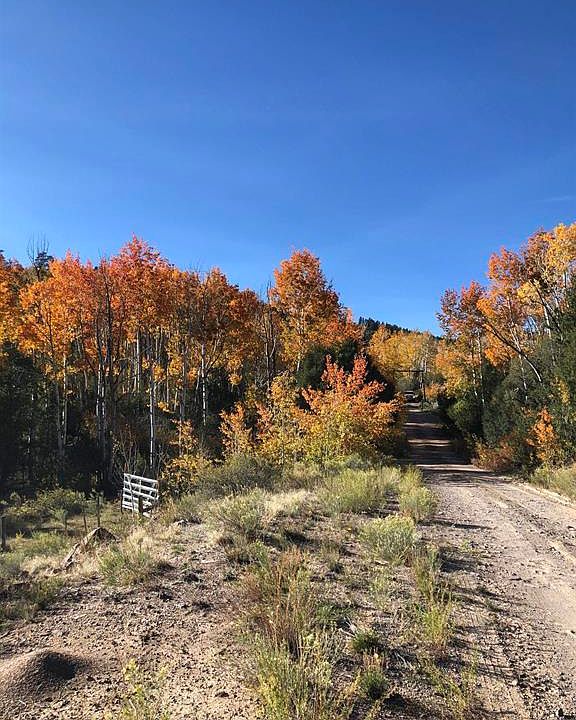 33 County Rd, Saguache, CO 81149 MLS 802357 Zillow