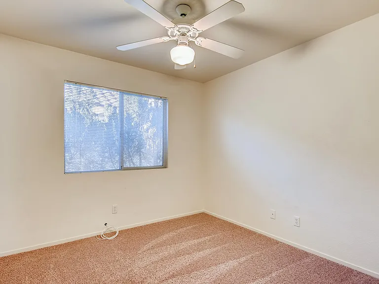 1409 Silk Tassel Dr — Photo 21
