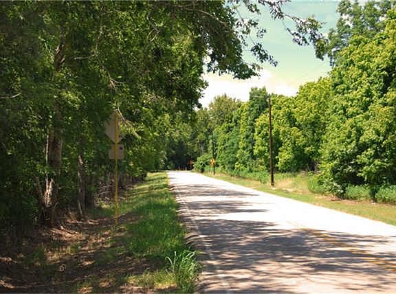 Beautiful trees border Precinct Line Road which  is paved with asphalt.