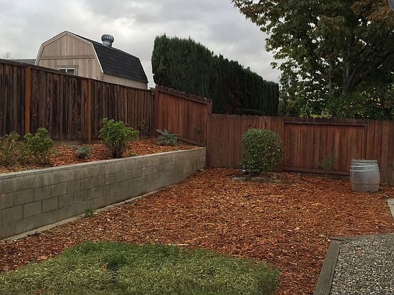 Yard with raised garden beds