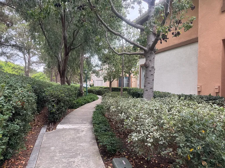 2401 Ladrillo Aisle — Photo 21