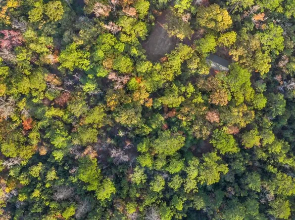 168 Dalea Ln, Brookeland, TX 75931