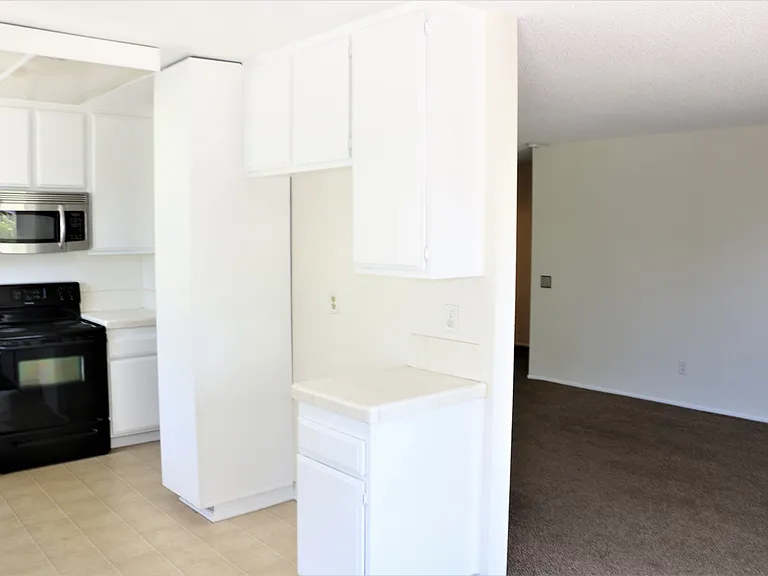1436 Darwin Dr — Photo 4