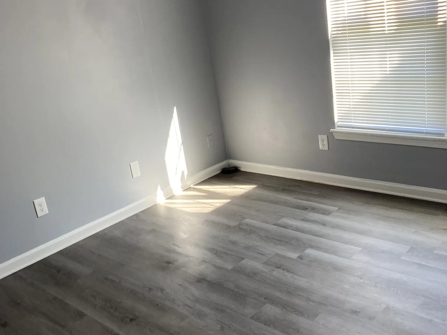 Cedar2623 (TF) - 1 — Photo 2