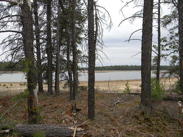 2nd image of 0 County Road 437