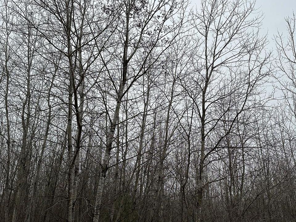 2nd image of Burrows Lake Rd #4067-G