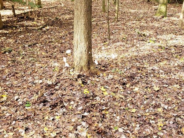 LOT 41 Saxis Rd, Temperanceville, VA 23442