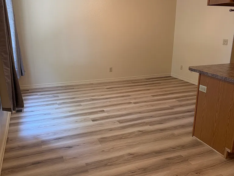 Living room, from the dining room.