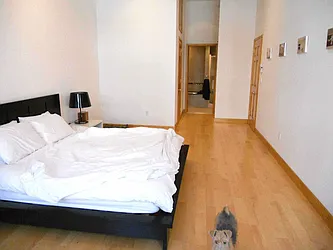 Rented by Level Group