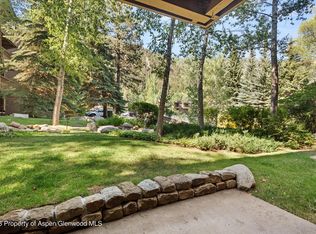 610 S West End St #D105, Aspen, CO 81611