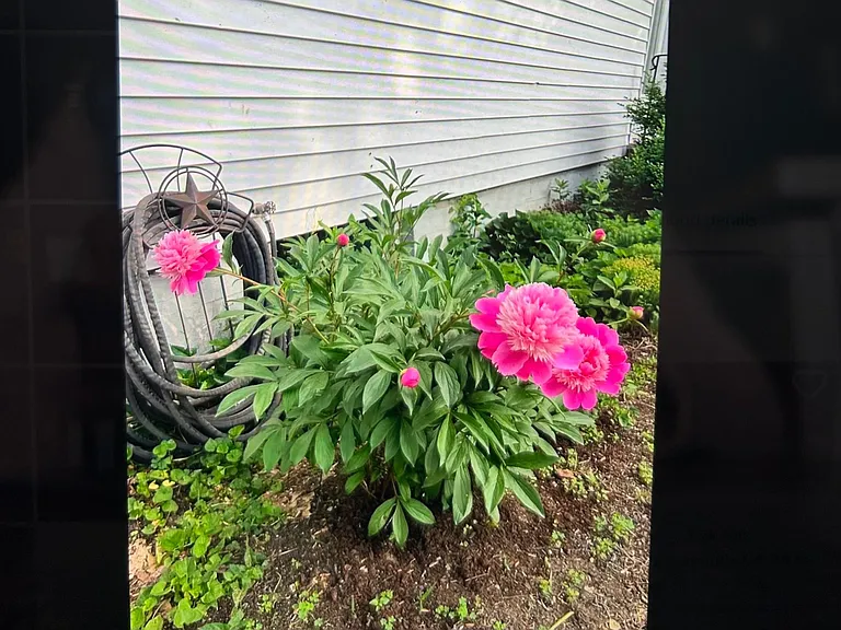 156 Winn Rd #156 — Photo 10