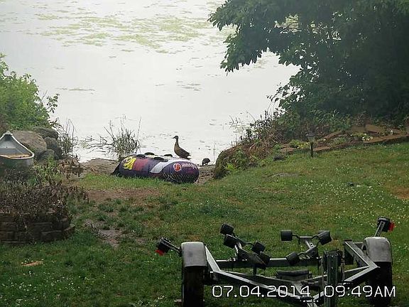 5th image of 184 Sawdy Pond Ave