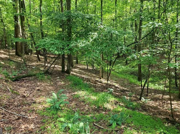 LOT 838 Oneida Cir, Ellijay, GA 30540