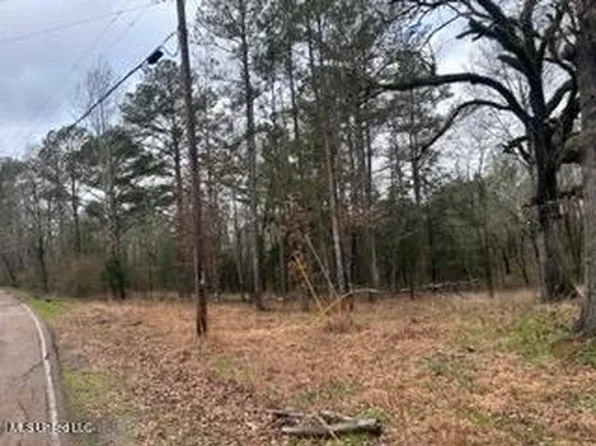 1 Sims Hill Rd, Morton, MS 39117