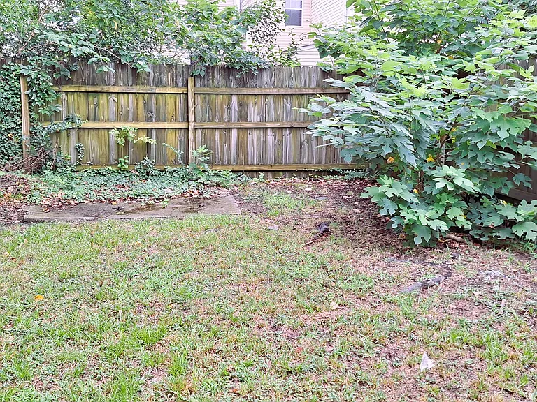 Fenced Back Yard