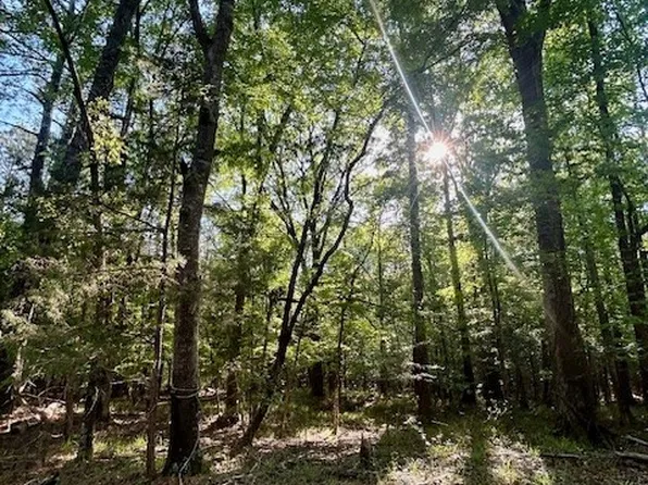 0 Sherling Lake Rd, Greenville, AL 36037