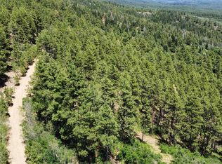 166 Jackalope Dr, Bayfield, CO 81122