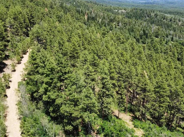166 Jackalope Drive, Bayfield, CO 81122