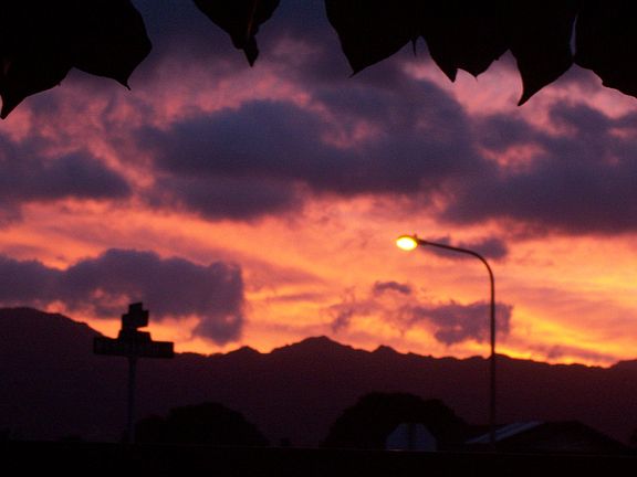 View from front yard