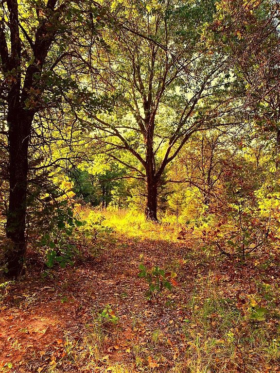 31189 Palimino Dr 12, Tecumseh, OK 74873 Zillow