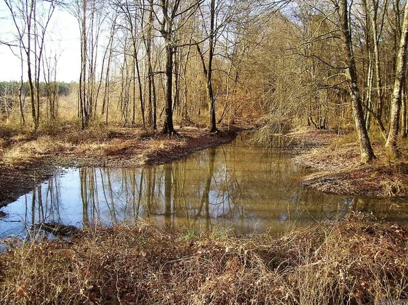 163 Lr #56, Winthrop, AR 71866