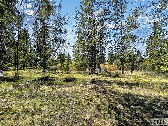 5th image of 4047 Kickapoo Cir