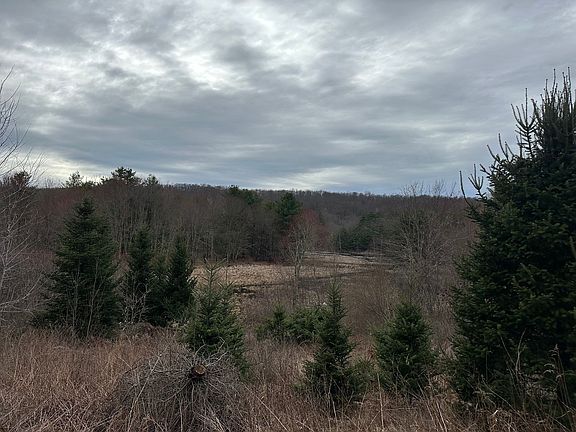 4th image of 81 Town Farm Rd