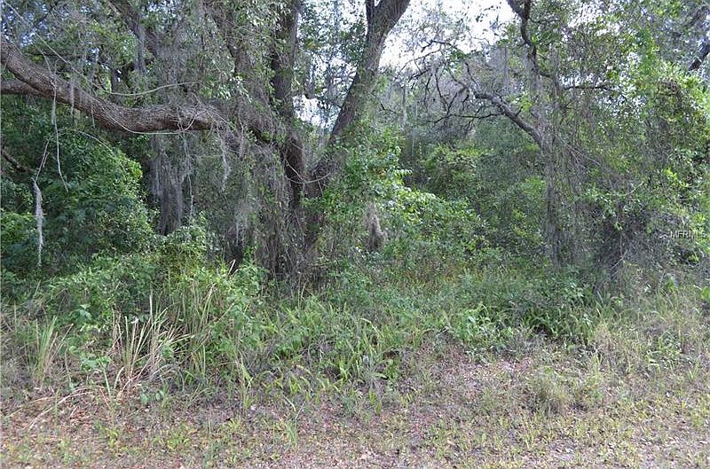 2nd image of 1799 NE Voss Oaks Cir